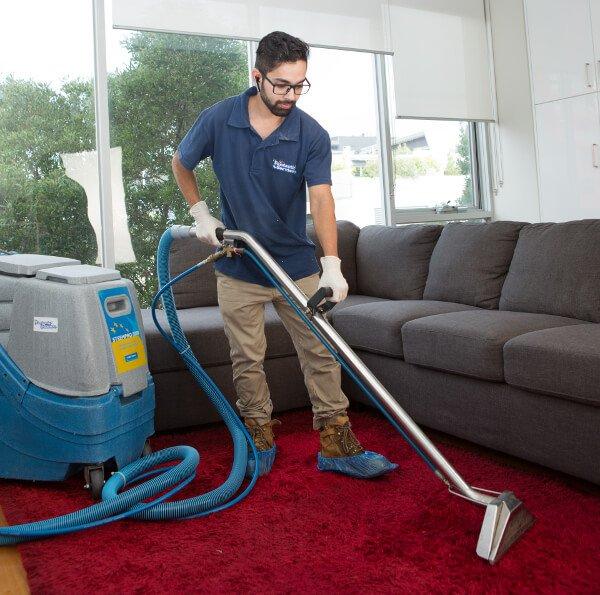 Carpet Cleaning Technician