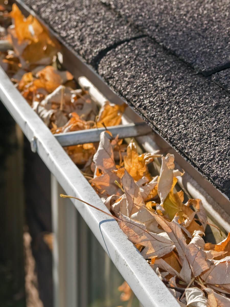Gutter full of leaves that need to be cleaned