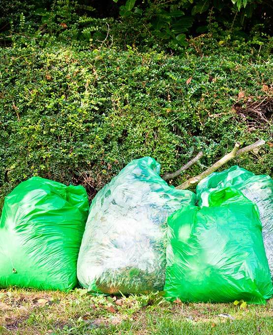 Garden waste collected in bags for waste removal
