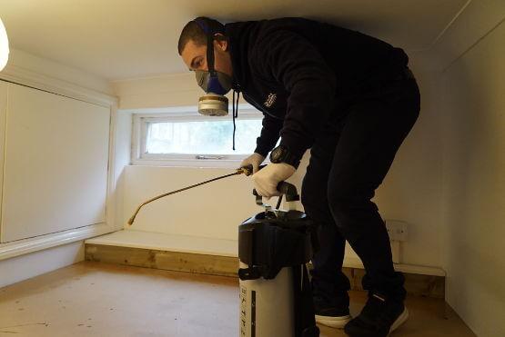 Pest controller spraying against cockroaches
