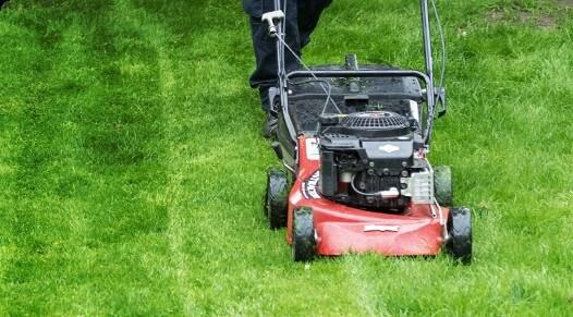 Top-notch Lawn Care Services In Sunshine Coast 