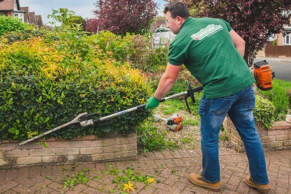 Bespoke Gardening Services | Garden Maintenance | Fantastic Gardeners