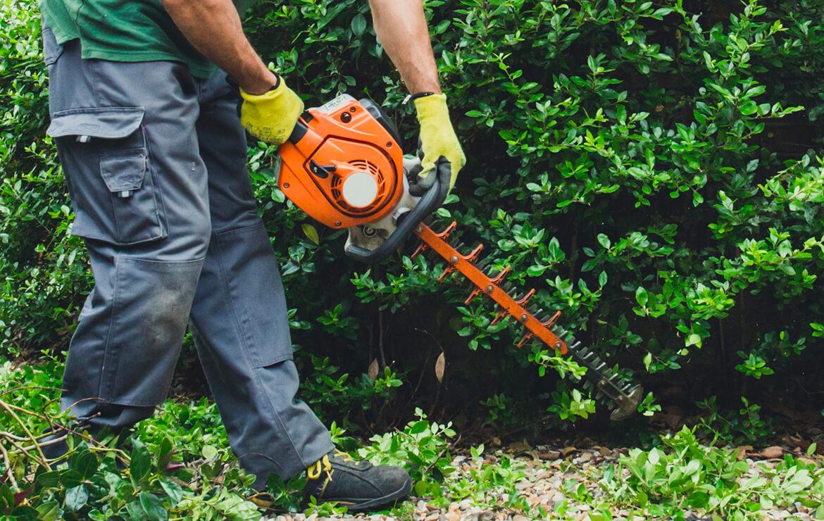 Garden maintenance service Hedge trimming