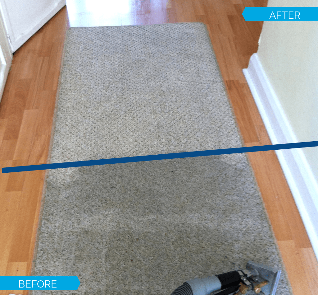 Before/After Carpet Cleaning