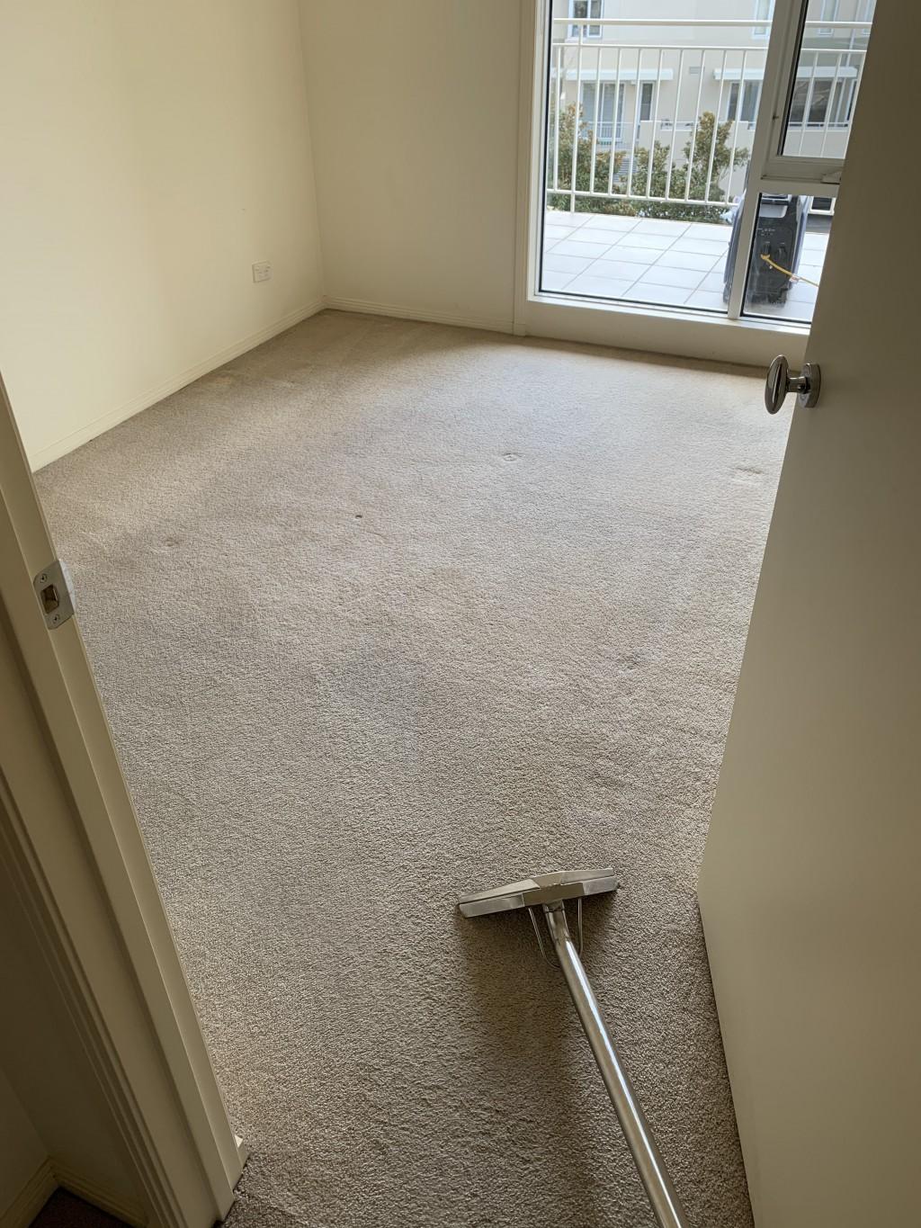 professional carpet cleaning service