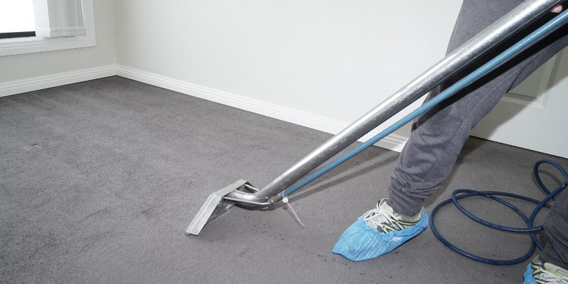 carpet cleaning