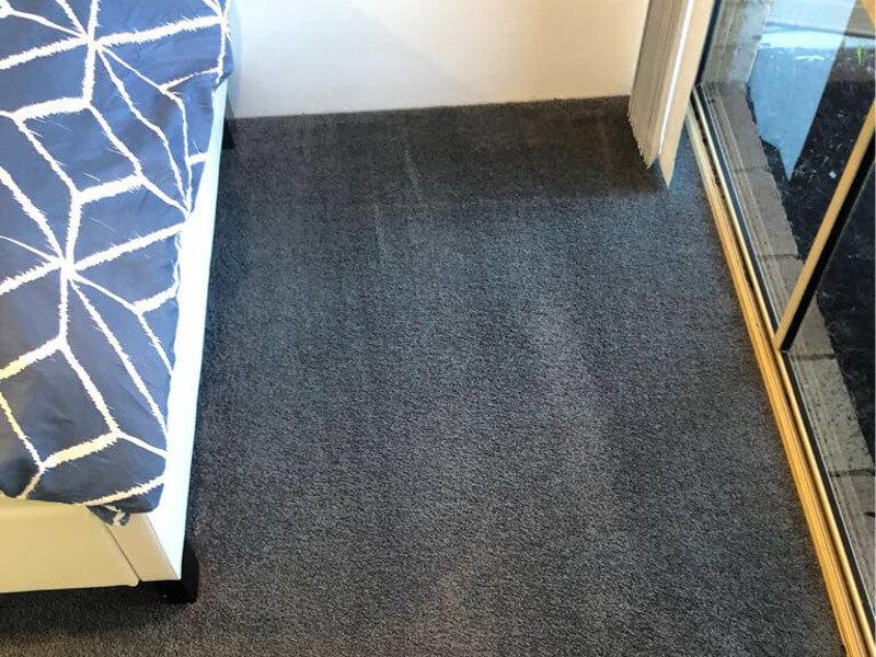 carpet and upholstery cleaning in Brunswick east