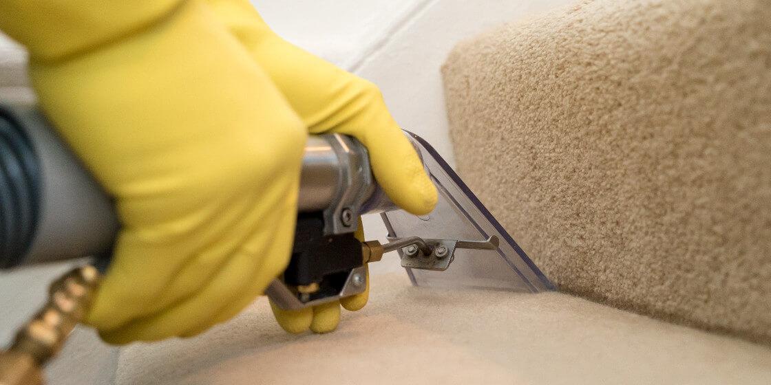 Carpet Cleaning