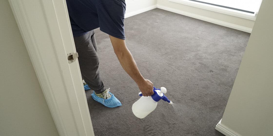 carpet cleaning in Newcastle