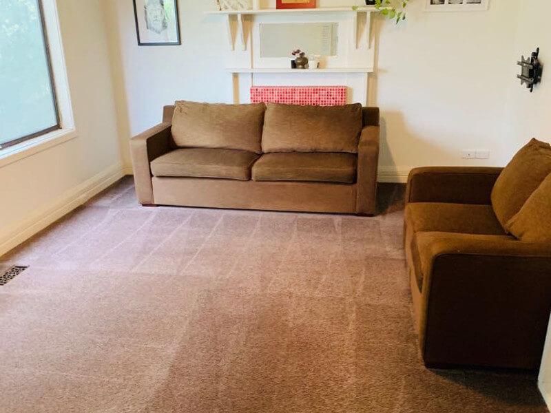 upholstery and carpet cleaning Geelong