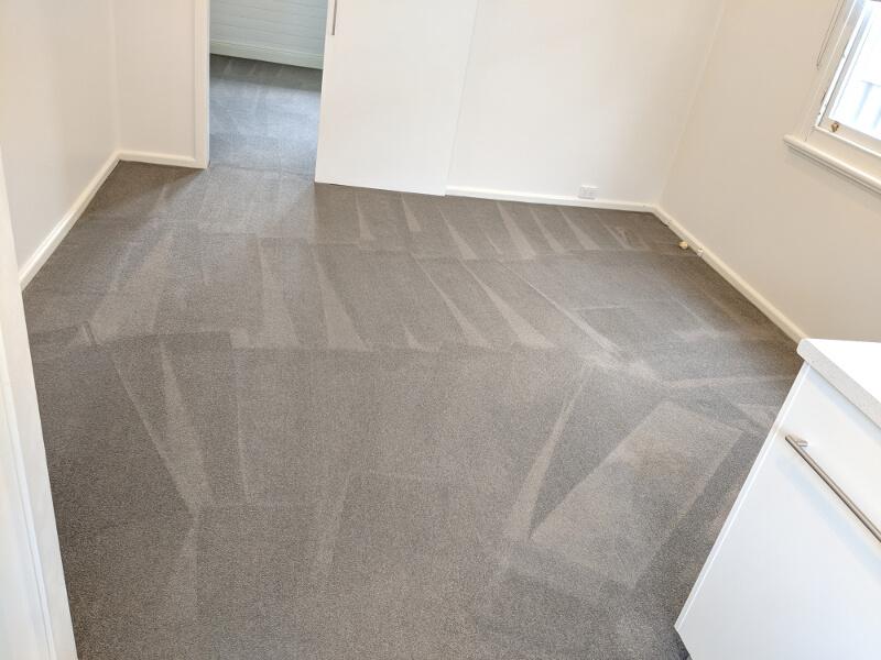 professional carpet cleaning in Perth