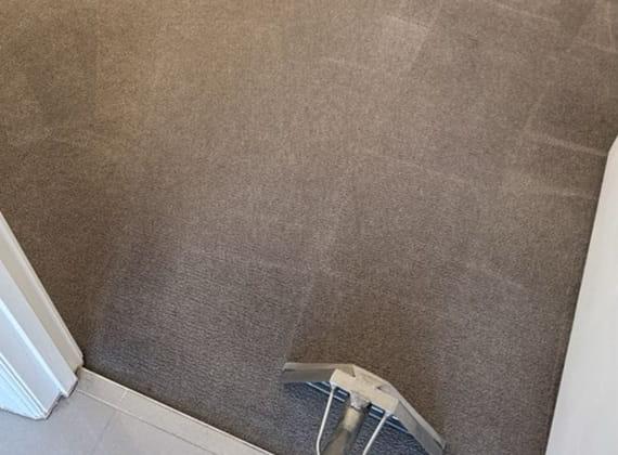 Carpet steam cleaning wand working the doorway threshold in a Melbourne home