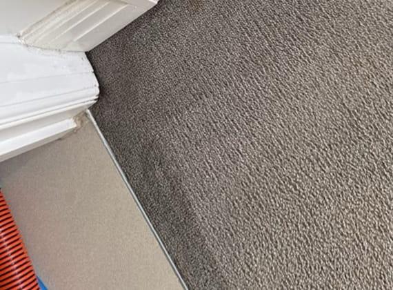 Close-up of clean carpet pile against the skirting board after professional steam cleaning