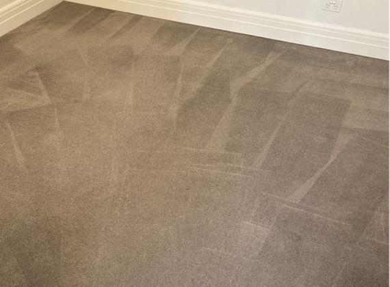 Freshly steam-cleaned carpet in a Melbourne living room, extraction pass lines visible in the pile