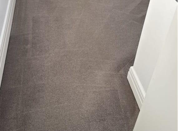 Hallway carpet steam cleaned in a Melbourne home, clean extraction lines from end to end