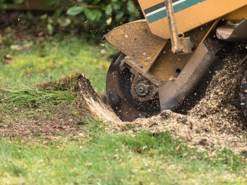 close-up of a gardening machine's tyre