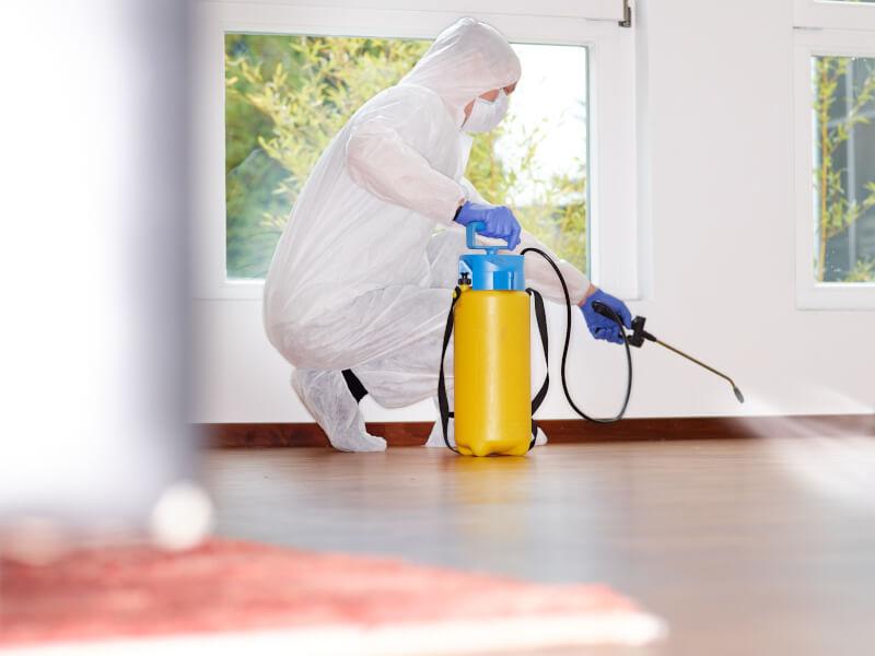 pest control service australia