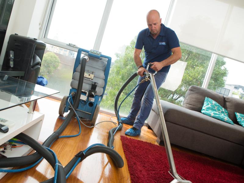 Steam Carpet Cleaning