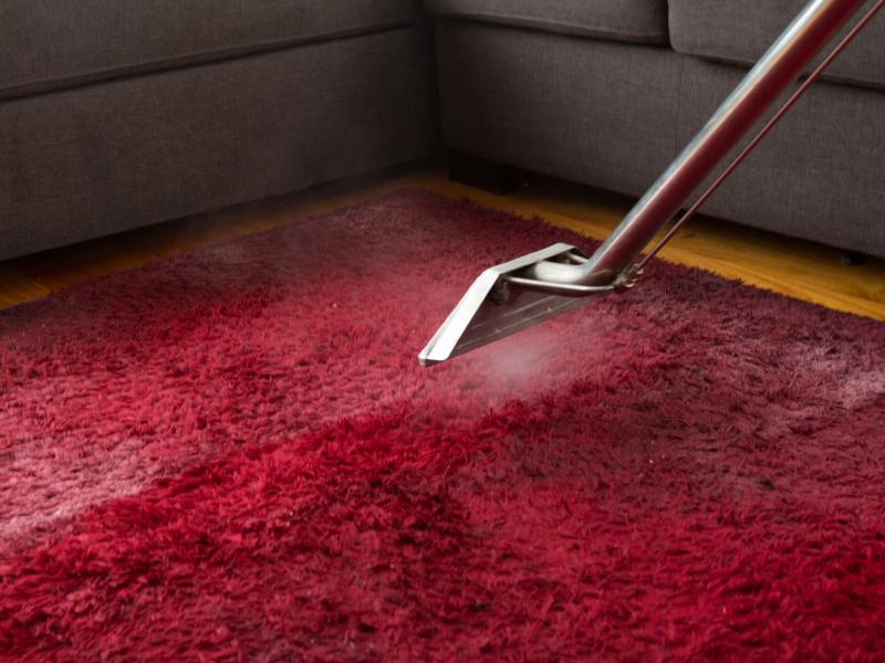 Carpet Cleaning