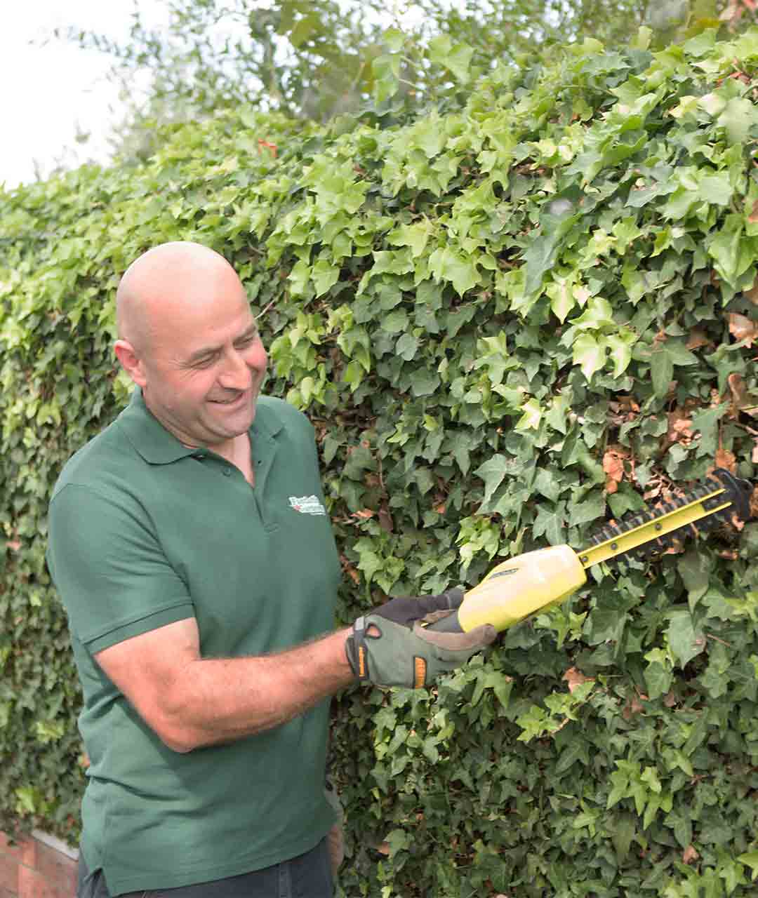 Reliable Hedge Trimming Services | Fantastic Services