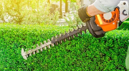 Reliable Hedge Trimming Services | Fantastic Services