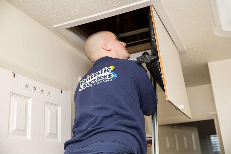 Pest controller checking out attic