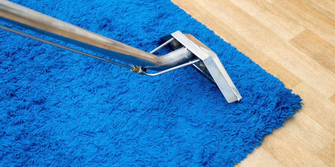 ndis cleaning vacuul cleaner hose near the edge of a blue synthetic carpet over hardwood flooring