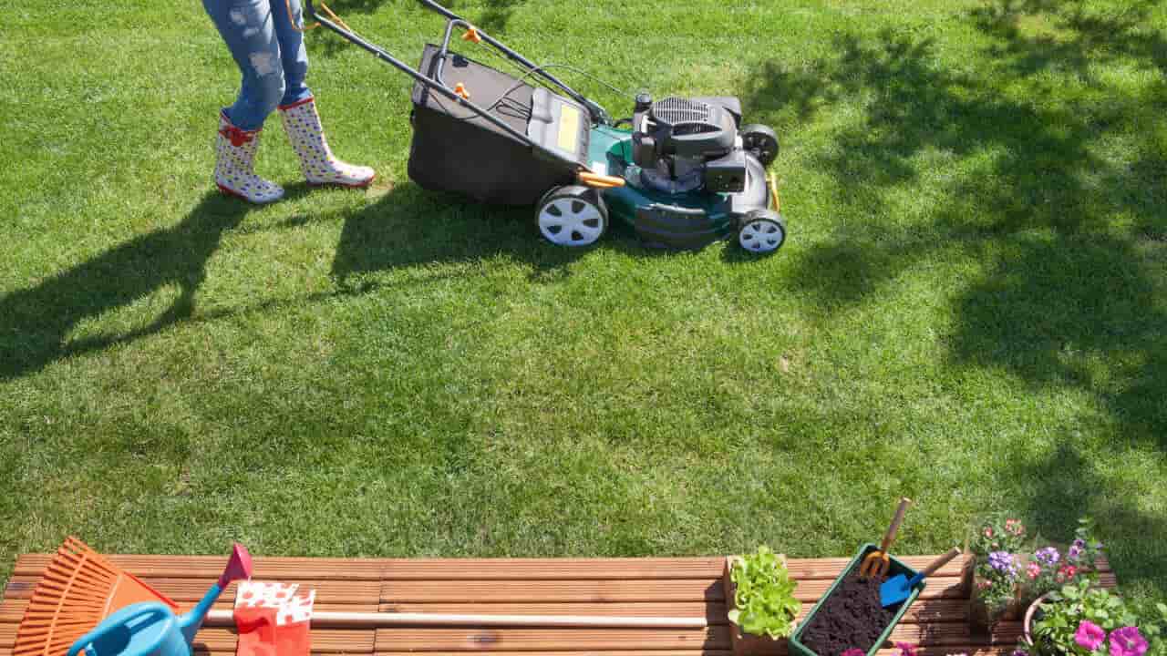 ndis gardener using a lawn mower to mow the lawn