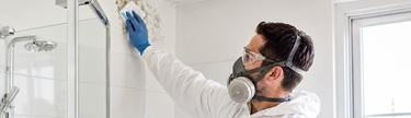 Mould removal service